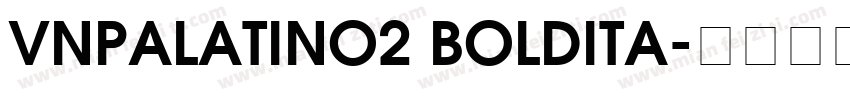 VnPalatino2 BoldIta字体转换